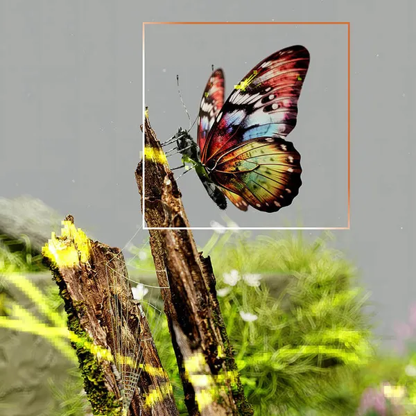 AI workflow and review path
